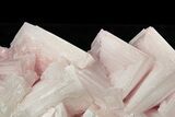 Pink Halite Crystal Cluster - Trona, California #239354-2